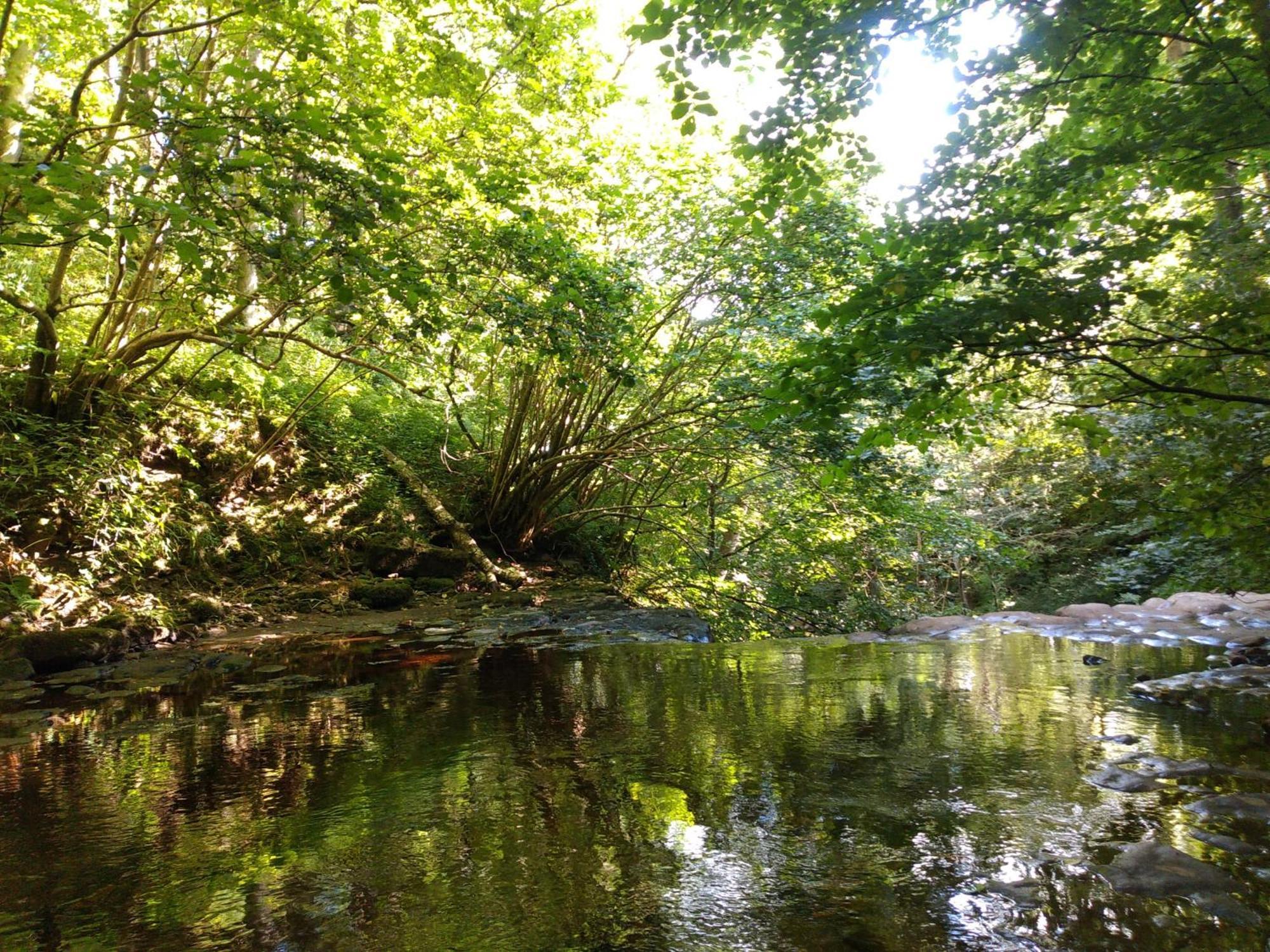 Brook * Askrigg