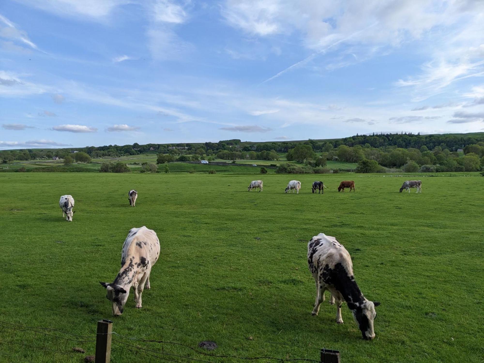 Holiday home Brook Askrigg