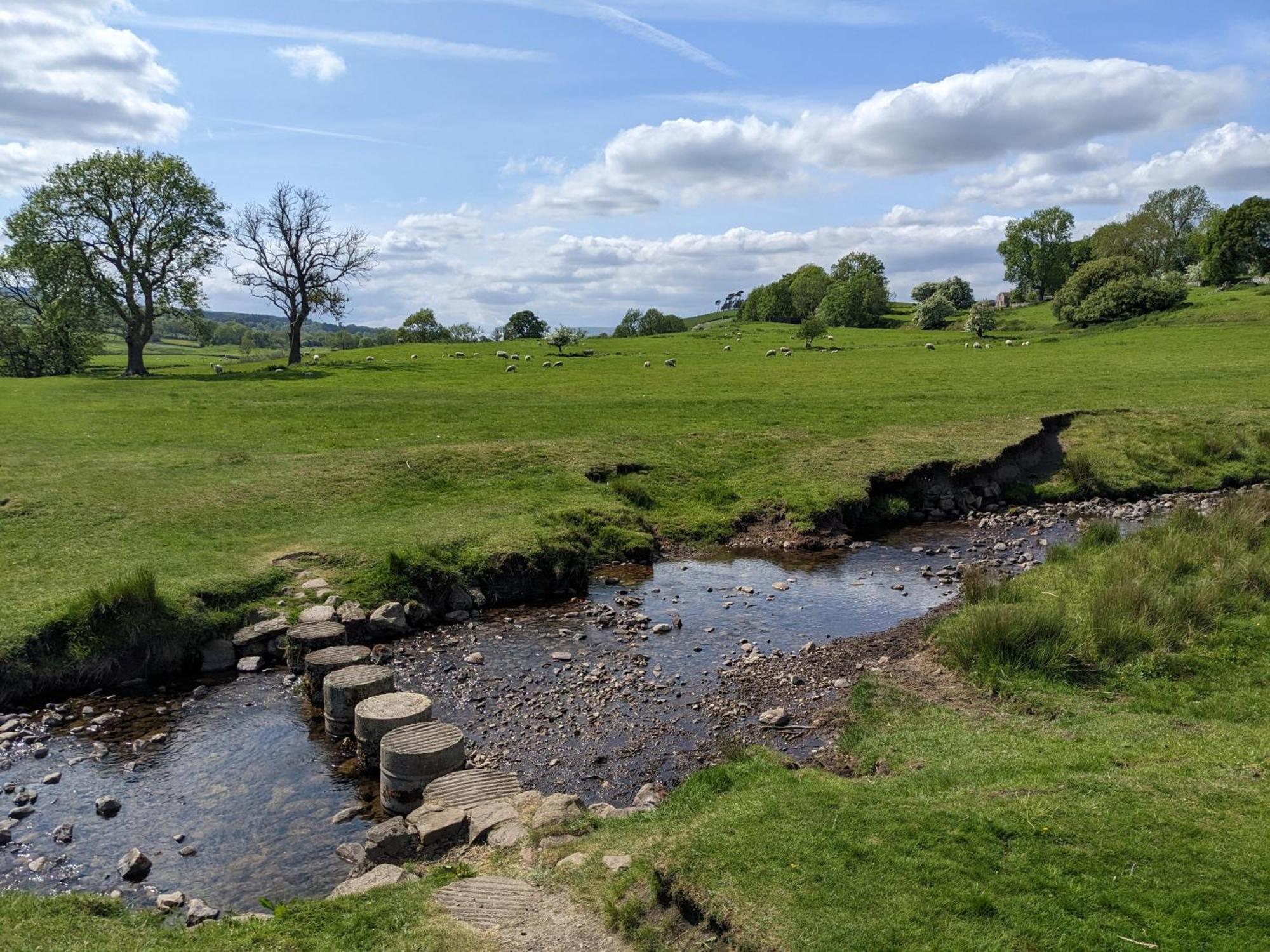Brook Askrigg